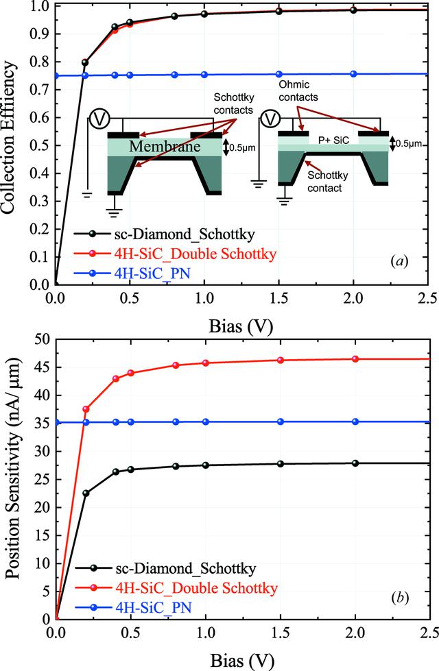 [Figure 5]