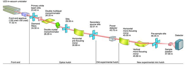 [Figure 1]