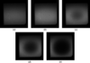 [Figure 12]