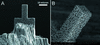 [Figure 1]