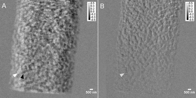 [Figure 3]