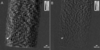 [Figure 3]