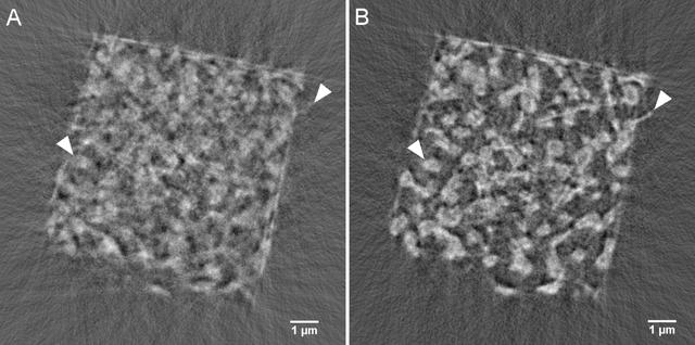 [Figure 5]