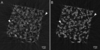 [Figure 5]