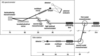 [Figure 1]