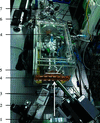 [Figure 3]