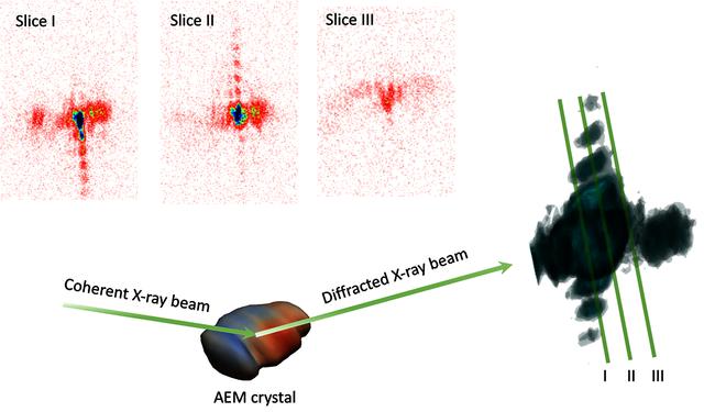 [Figure 1]