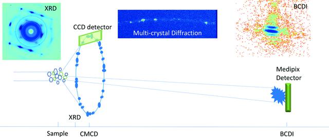 [Figure 5]