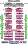 [Figure 3]