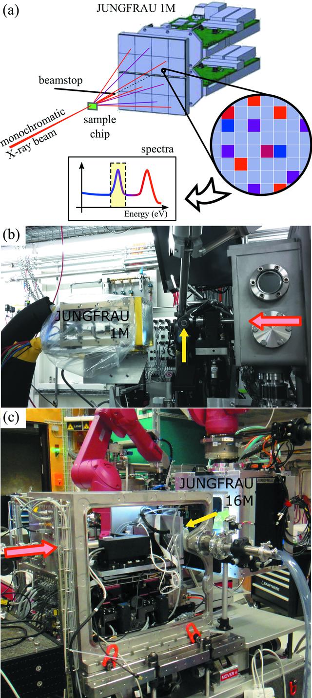 [Figure 1]