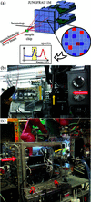 [Figure 1]