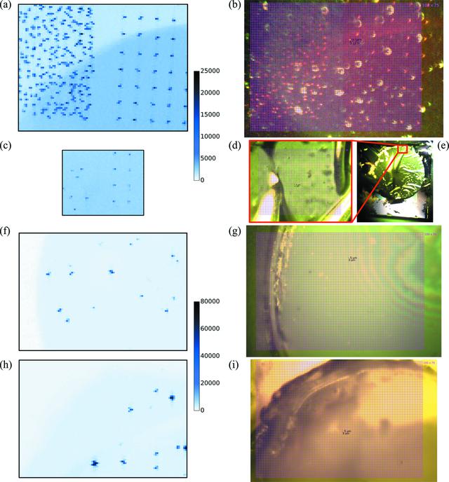 [Figure 4]