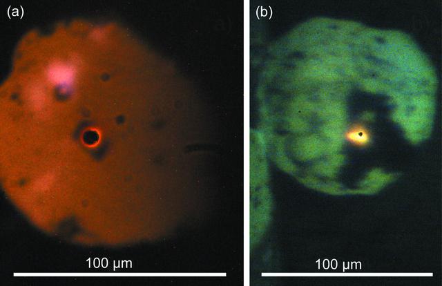 [Figure 6]