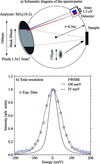 [Figure 4]