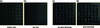 [Figure 4]