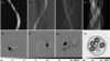 [Figure 5]