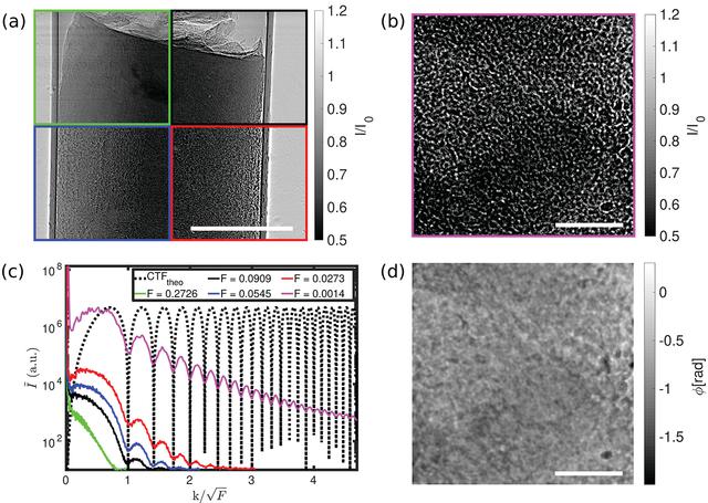 [Figure 4]