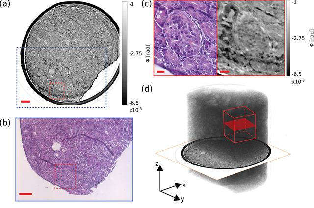 [Figure 5]