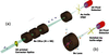 [Figure 1]