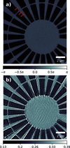 [Figure 5]