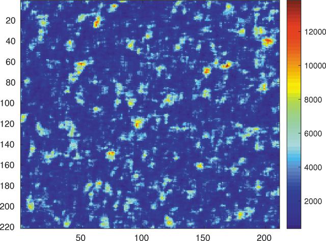 [Figure 12]