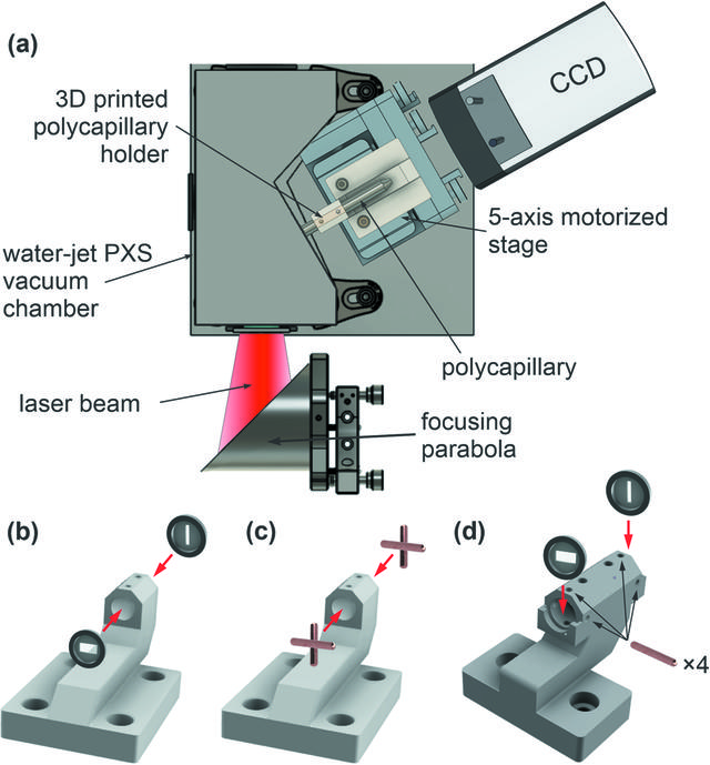 [Figure 1]