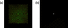 [Figure 4]