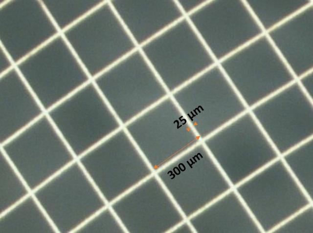 [Figure 6]