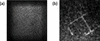 [Figure 8]