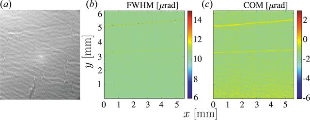 [Figure 1]