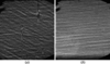 [Figure 10]