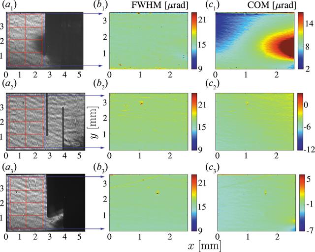 [Figure 6]