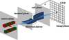 [Figure 1]