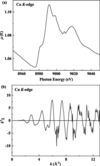 [Figure 7]