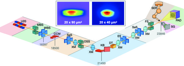 [Figure 1]