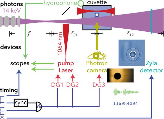 [Figure 1]