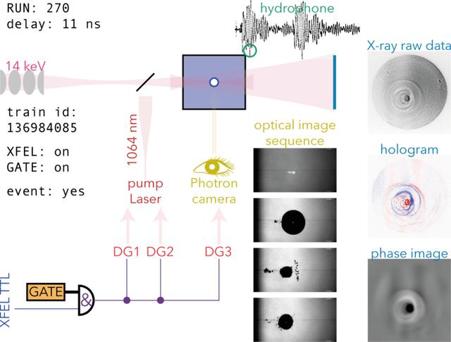 [Figure 3]