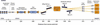 [Figure 1]
