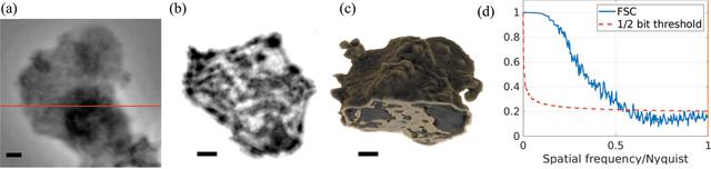 [Figure 6]