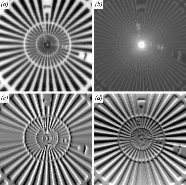 [Figure 1]