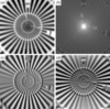 [Figure 1]
