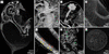 [Figure 6]