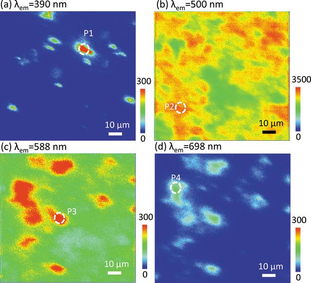 [Figure 3]