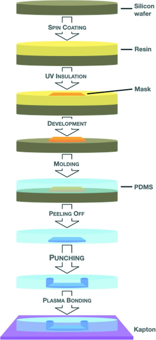 [Figure 1]