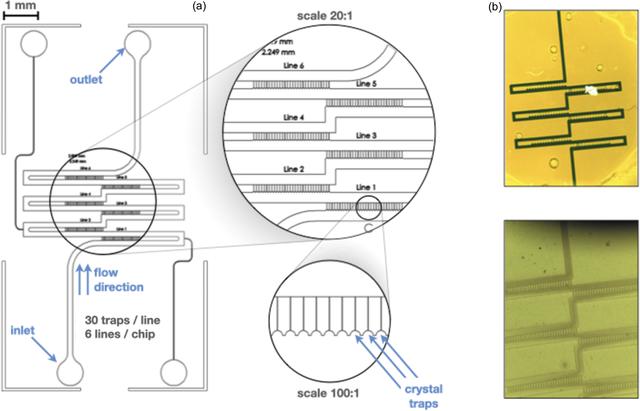 [Figure 2]