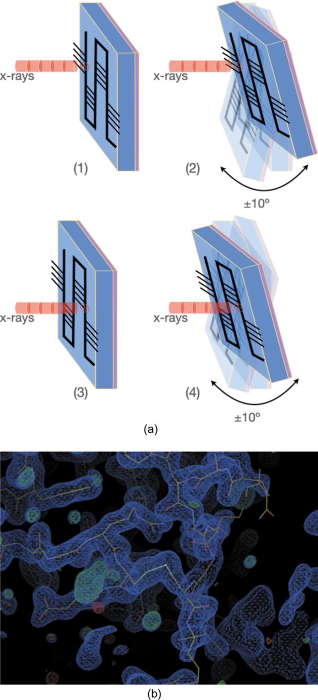 [Figure 4]
