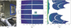[Figure 4]