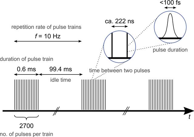 [Figure 1]
