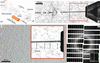 [Figure 2]