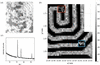 [Figure 5]